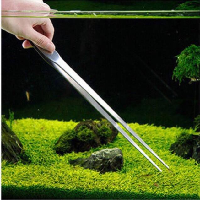 Nhíp Và Kéo Inox - Trồng Cây Cho Hồ Thủy Sinh
