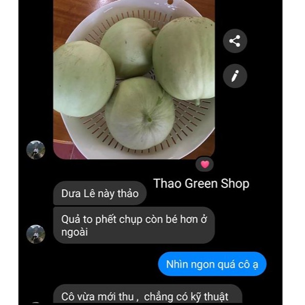 HẠT GIỐNG DƯA LÊ CẨM NGỌC