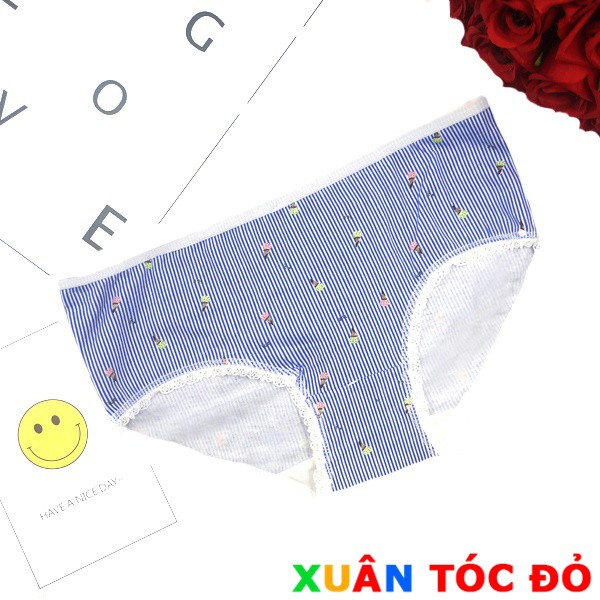 SỈ RẺ HƠN 20-40%_ Quần Lót 5 Kiểu Mèo Thỏ Ăn Kem Cốc Tràng Tiền C024 (Liên hệ Zalo: 08689.38986)