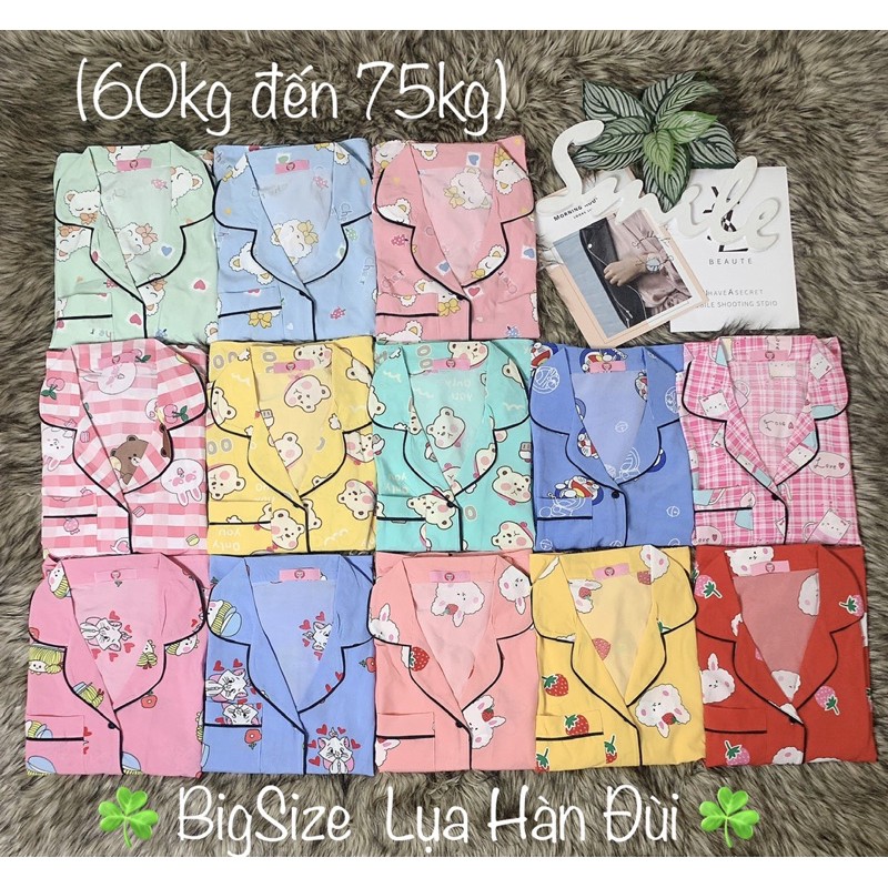 (BigSize 60kg-75kg) Đồ Bộ BigSize Pijama Lụa Hàn Đùi .