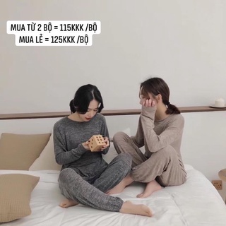 BỘ DSTUDIO NHẸ TÊNH SẴN