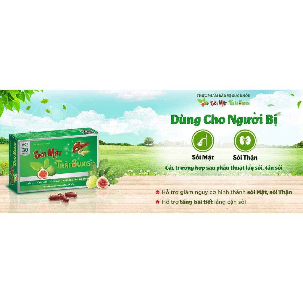 Sỏi mật sỏi thận trái sung - Hỗ trợ tốt chức năng tiêu hóa, bào mòn sỏi, phòng chống sỏi