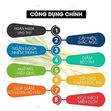 Tinh dầu chanh xả nguyên chất 10ml xông mũi họng cho F0, giúp thơm phòng khử mùi đuổi muỗi