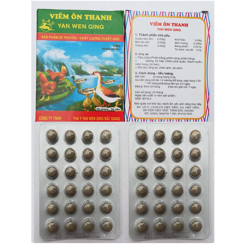 10 Vỉ Viêm ôn thanh Chuyên dùng cho gia cầm, gà chọi, gà đá, chim cảnh