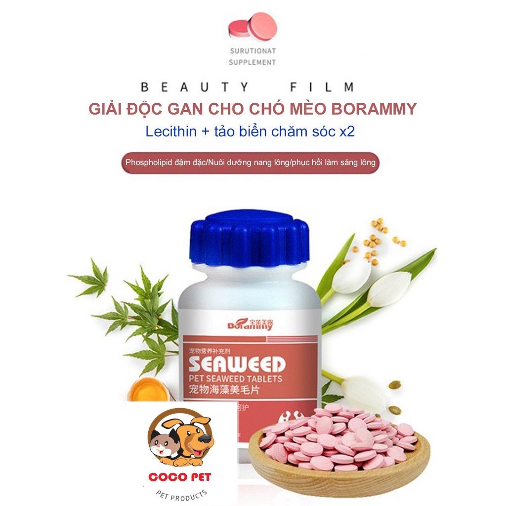Canxi BORAMMY Cho Chó Mèo Hỗ Trợ Chắc Xương, Răng Bổ Sung Canxi Cho Mèo Bầu Và Nuôi Con
