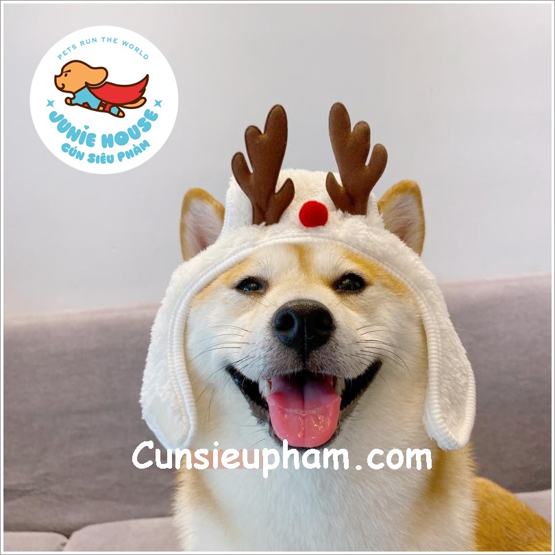 Nón tuần lộc Noel Giáng sinh cho chó mèo