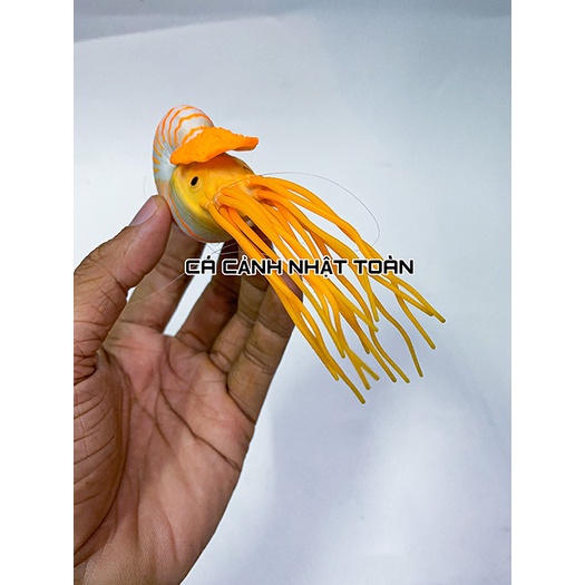 ÓC SÊN HÍT ĐÁY NỔI TRANG TRÍ BỂ CÁ CẢNH DÀI 8CM