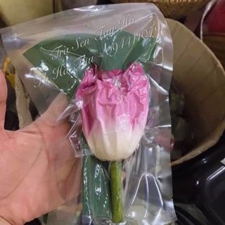 TRÀ SEN TÂY HỒ [ƯỚP HOA 100%]