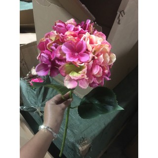 hoa cẩm tú cầu giả