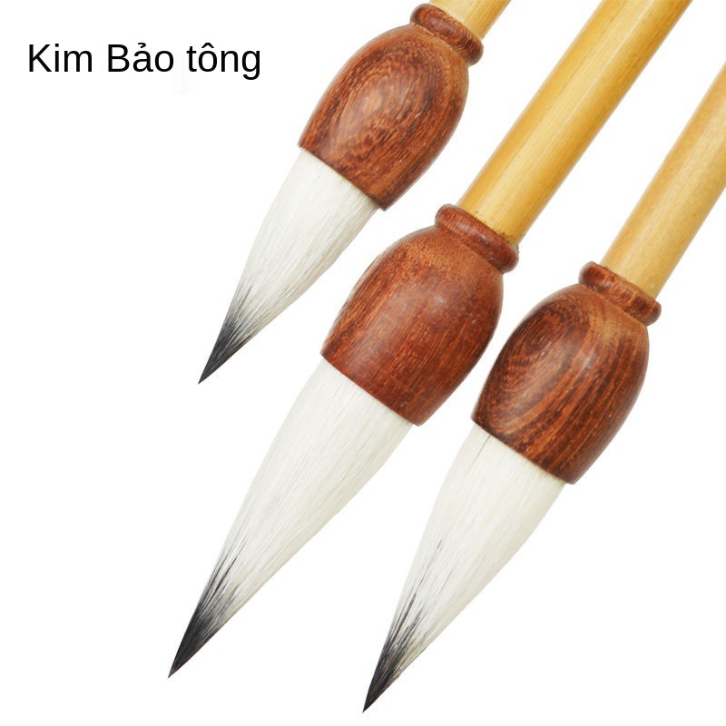 Shanlian Jinbaotang Brush Set Jianhao Cal Thư pháp Thông thường Chữ viết chính thức Trung Quốc Tranh Hoa mẫu đơn Màu