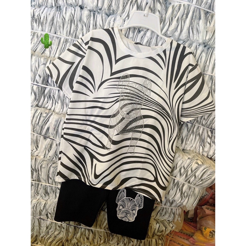 Sét bộ áo thun form rộng tay lỡ màu vằn phối quần thun ngố in hình chó pug cực xinh , chất thun coton mềm mịn