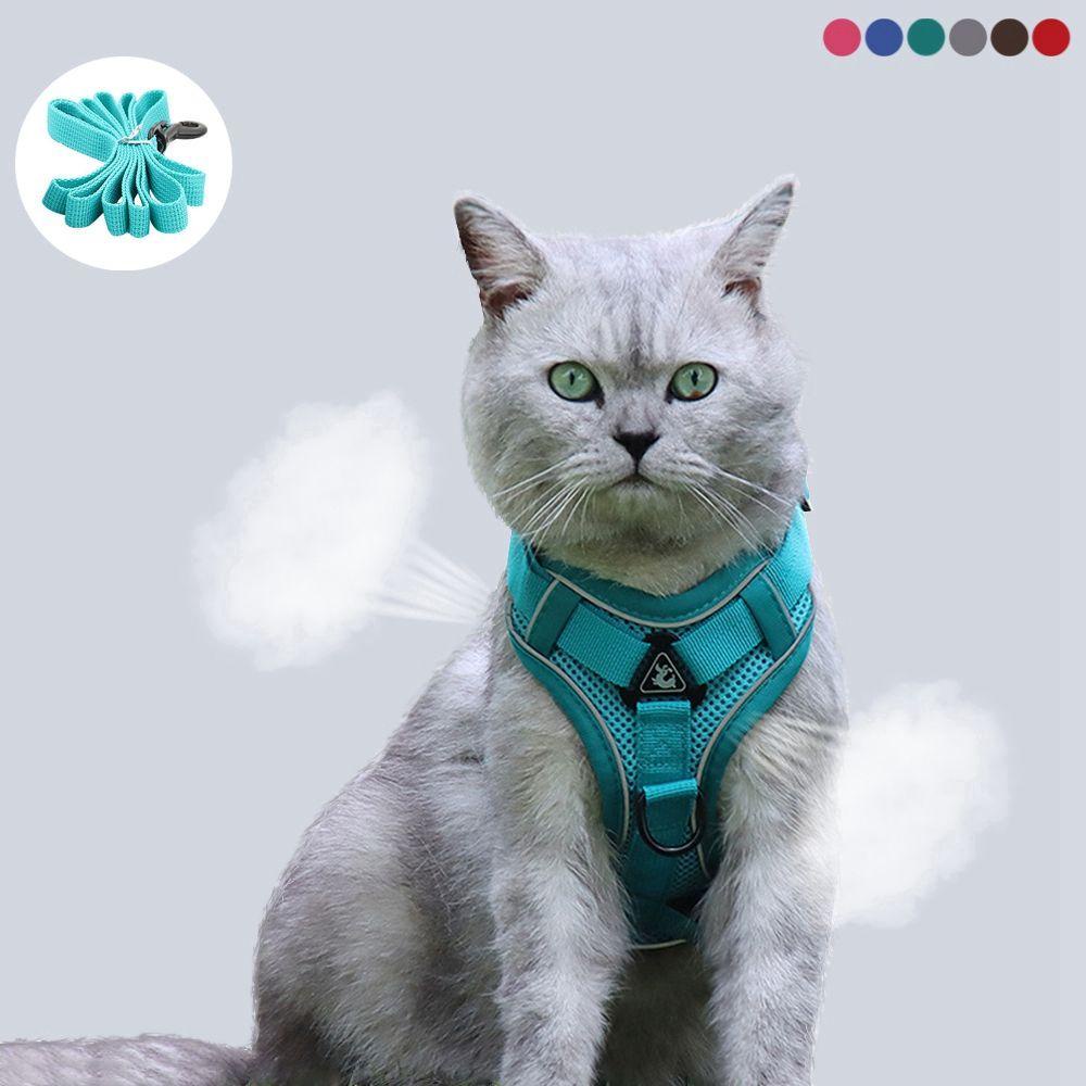 Dây Dắt Thú Cưng Phản Quang Thoáng Khí Kèm Điều Khiển Dễ Dàng