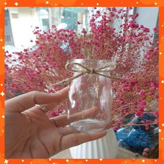 Lọ thủy tinh mini cắm hoa khô