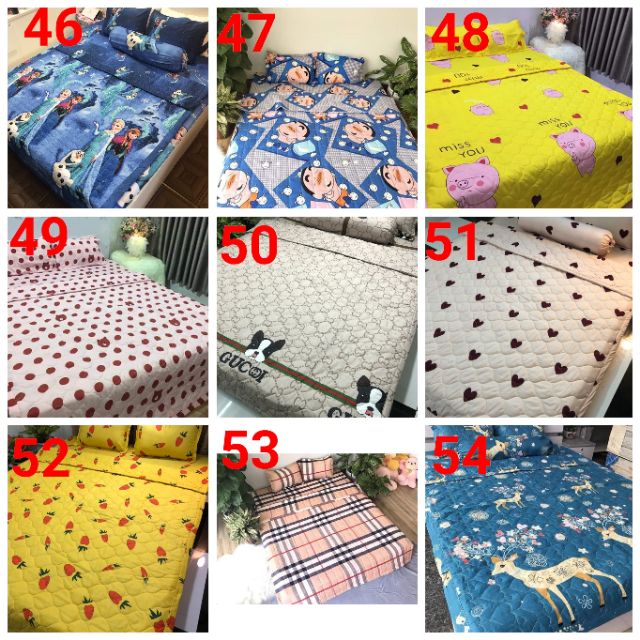 Chăn hè cotton poly . được chọn mẫu