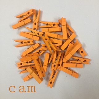 COMBO KẸP GỖ MÀU MÈ  10 CÁI
