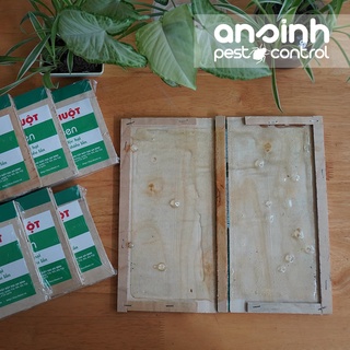 Bẫy dính chuột An Sinh - Green