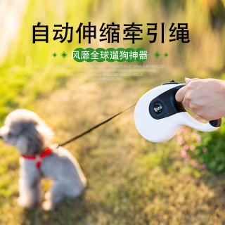 Dây dắt thú cưng đi dạo có thể thu gọn tự động
