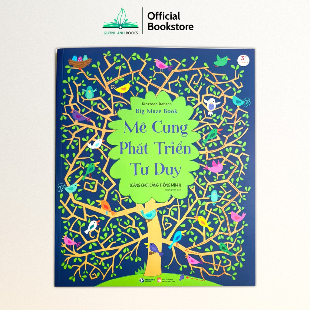 Sách - Mê cung phát triển tư duy trò chơi trí tuệ  - NPH Pingbooks