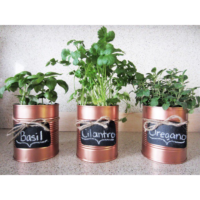 Vỏ hộp lon sữa meiji