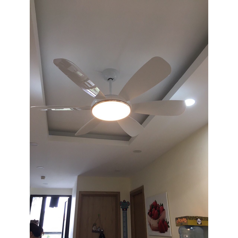 Quạt trần đèn 6 cánh siêu mát chạy cực êm cho phòng khách,ngủ bếp ăn,khiển từ xa có đảo chiều