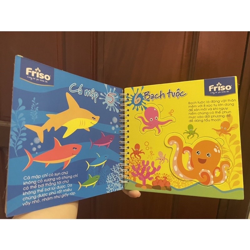 Bé học đếm_HKM friso