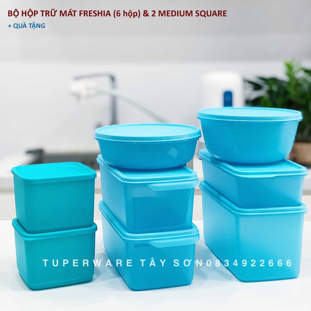 Bộ hộp trữ đông và mát Blue Ocean - Tupperware