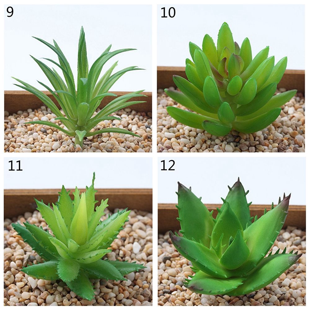 Cây sen đá nhân tạo dùng trang trí nhà cửa