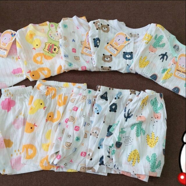 Combo bộ cotton giấy
