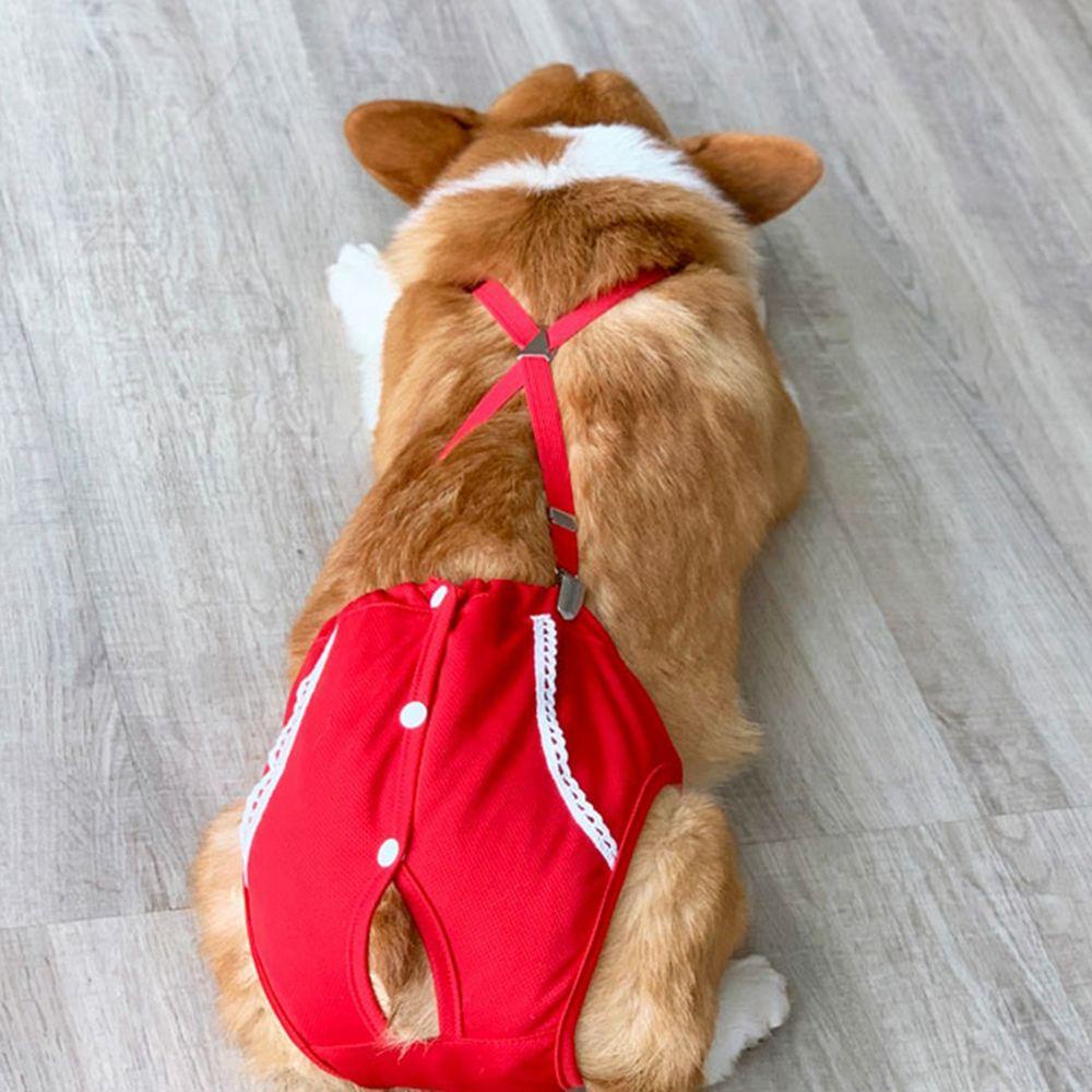 Danilo Quần Tã Sinh Lý Dây Đeo Cho Cún Cưng Chó Corgi
