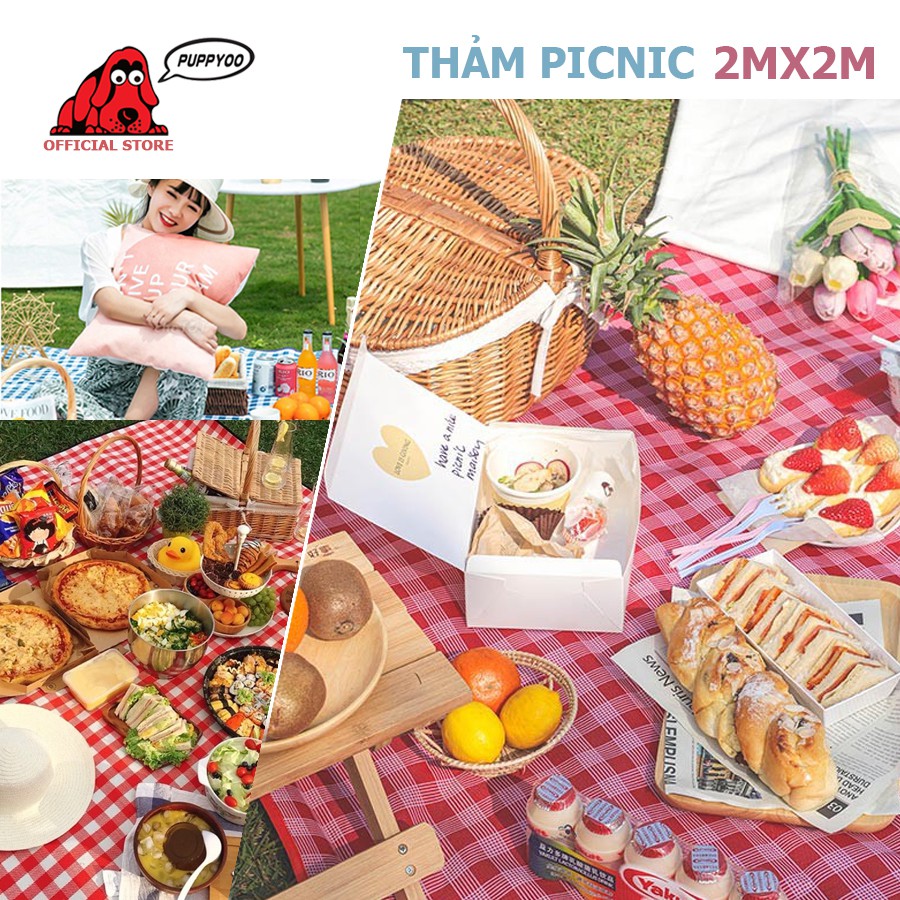 Thảm picnic dã ngoại thảm decor cao cấp chụp ảnh cực đẹp gấp gọn dễ dàng mang theo