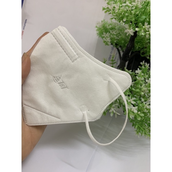 Hộp 10 chiếc khẩu trang 6D TT mask chính hãng