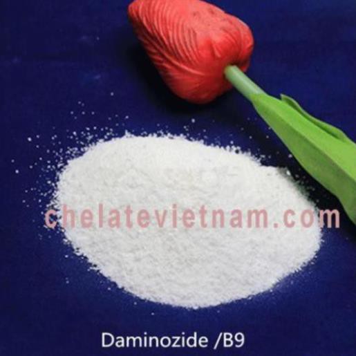 Daminozide B9  tan trong nước gói 1kg