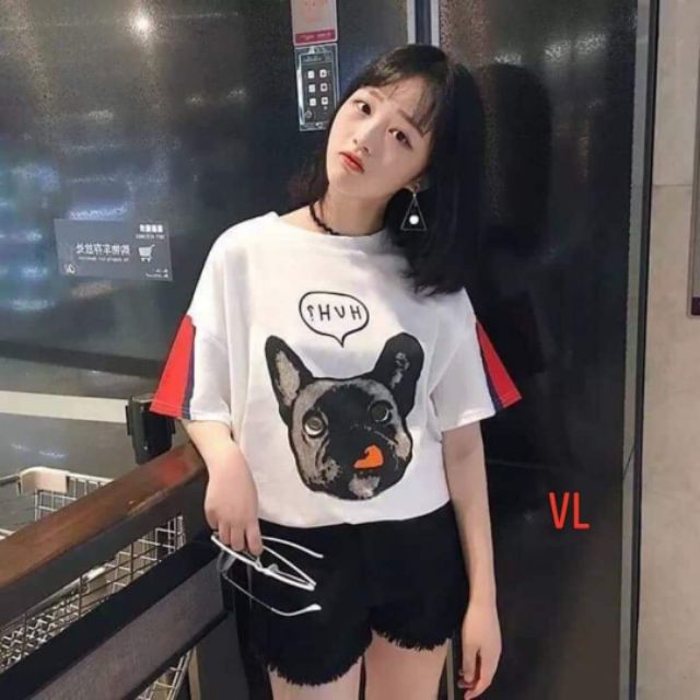 Áo phông chó zâglag_KV2580(kèm ảnh thật)