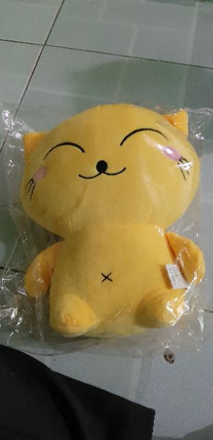 Thú bông hình mèo con vàng và hồng sen