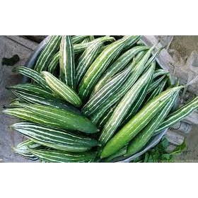 Hạt giống Lặc Lè F1 Thái lan 5gr