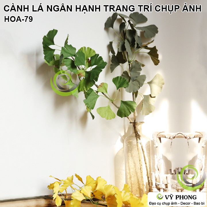 CÀNH LÁ NGÂN HẠNH RẼ QUẠT TRANG TRÍ ĐÁM CƯỚI ĐẠO CỤ CHỤP ẢNH SẢN PHẨM INS HOA-79