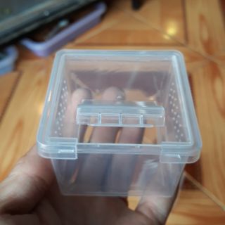 Tank nuôi nhện size sling