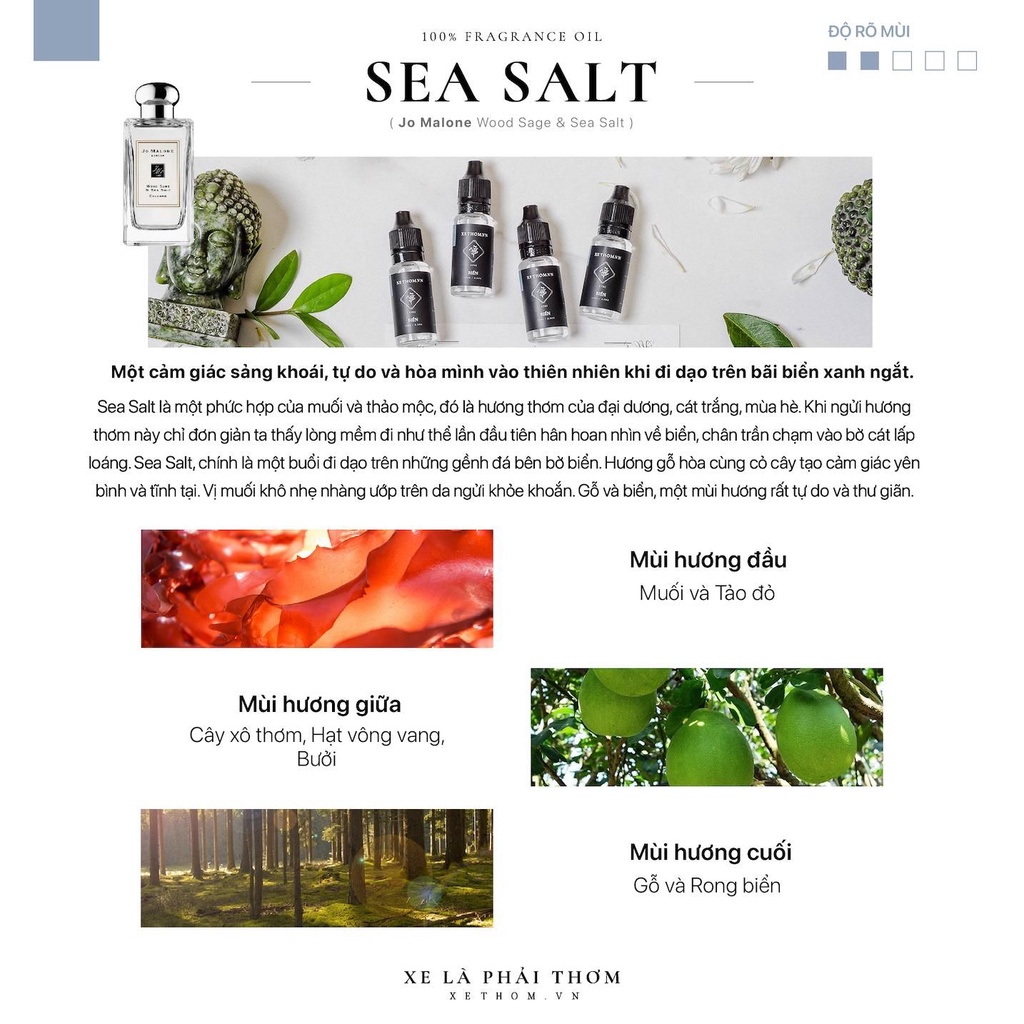 Nước hoa xe hơi gài cửa gió - LUXURY SET 3 CHAI MÙI HƯƠNG SEA SALT - JOMALONE LONDON mùi hương sảng khoái, tự do 10m