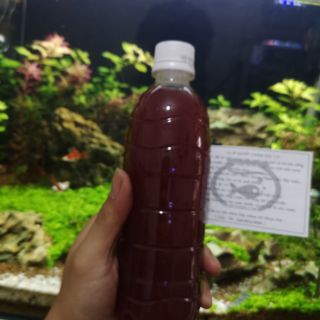 Vi sinh PSB làm trong nước bể cá ( Vi khuẩn quang hợp, vi sinh tươi)