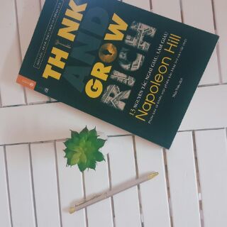 Hoa sen đá kèm chậu