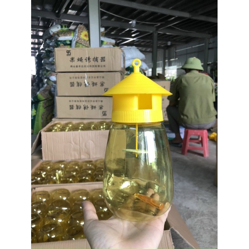 Hộp dẫn dụ ruồi vàng bẫy hết 100% ruồi vàng