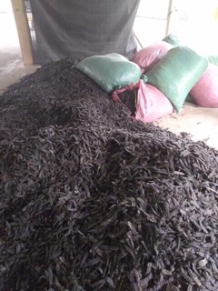 Bồ kết 1kg