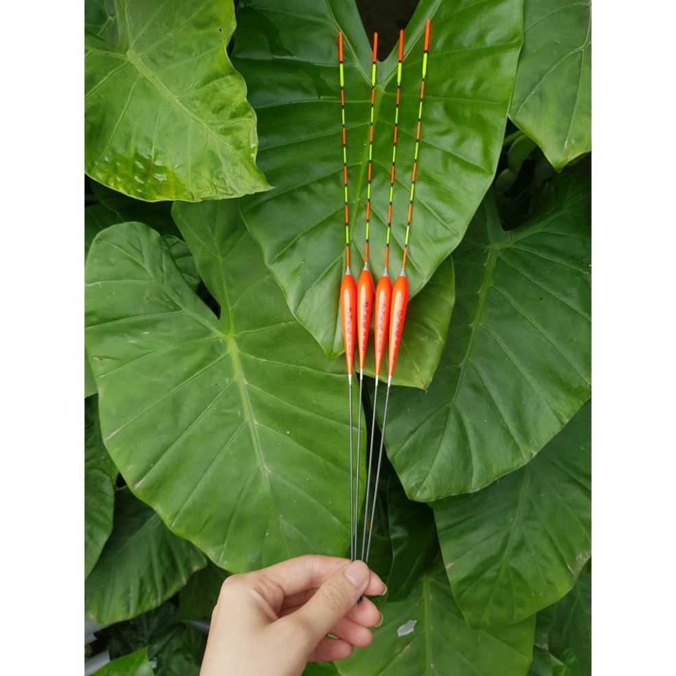 Phao câu đơn, câu đài nano siêu đẹp giá rẻ