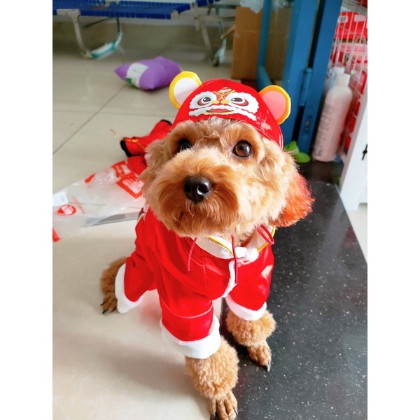 [ Có ảnh thật ] Set bộ lân + mũ sư tử cho thú cưng