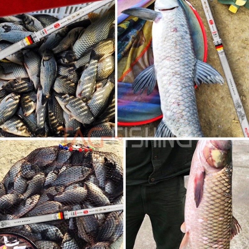 Cần Câu Đài GUIDE Lục Mạch Thần Kiếm Phiên Bản Bạc 5H 28i - Chính Hãng