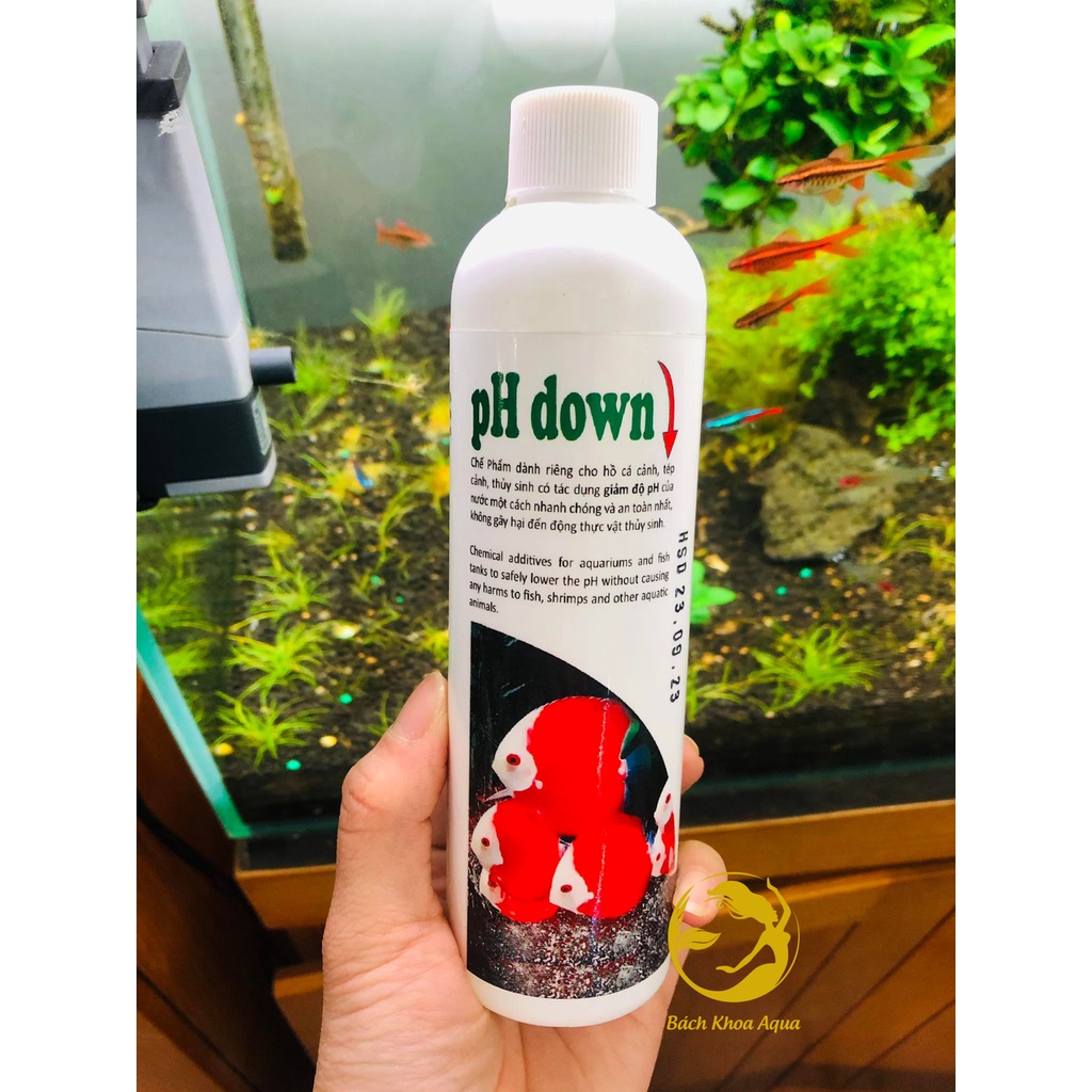 Dung dịch giảm Ph Down cho hồ cá thủy sinh