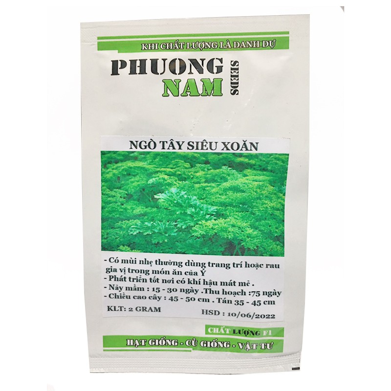 2 GR - HẠT GIỐNG RAU GIA VỊ NGÒ TÂY SIÊU XOĂN