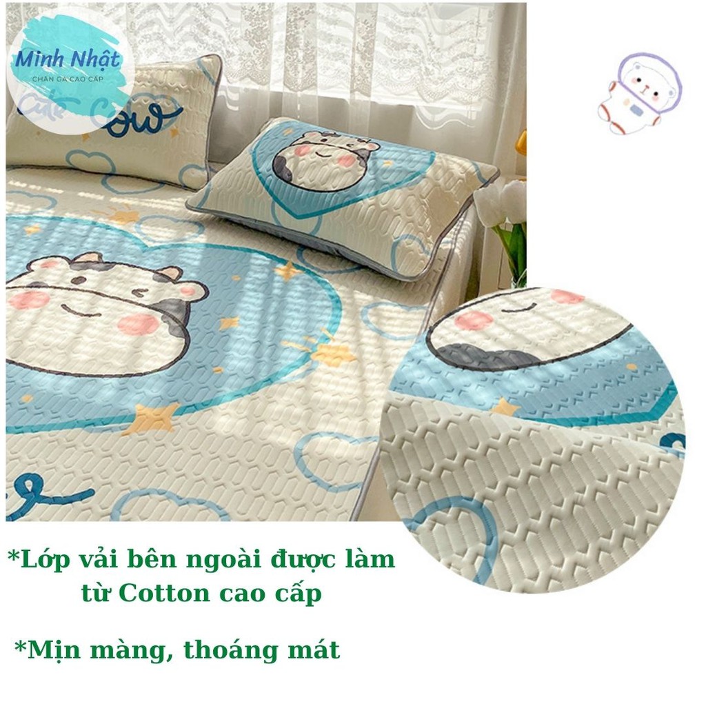 Chiếu điều hòa Cao su non Latex 5D Minh Nhật – Loại 1 – Hàng nhập khẩu cao cấp