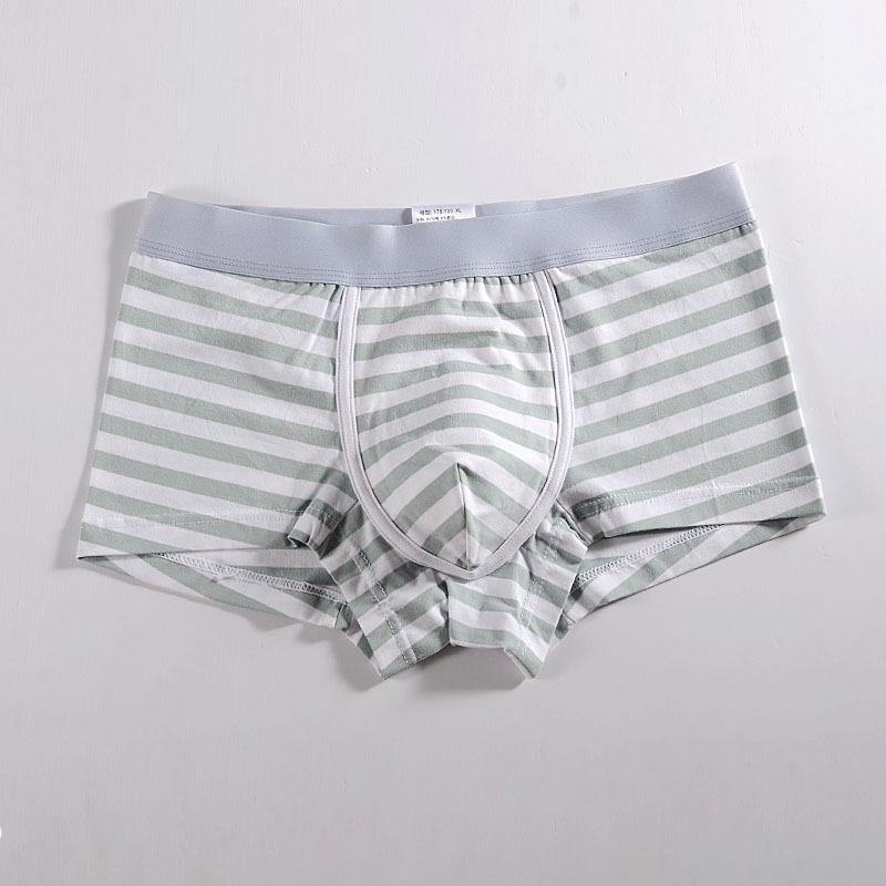 Quần lót nam boxer cao cấp NuciFera sịp đùi nam cotton tự nhiên 320