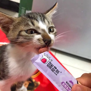 😸 Súp Thưởng Do.Do Cho Mèo - 15G
